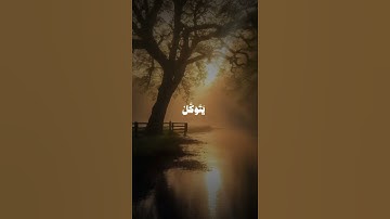 سورة الطلاق | الآية 2-3.