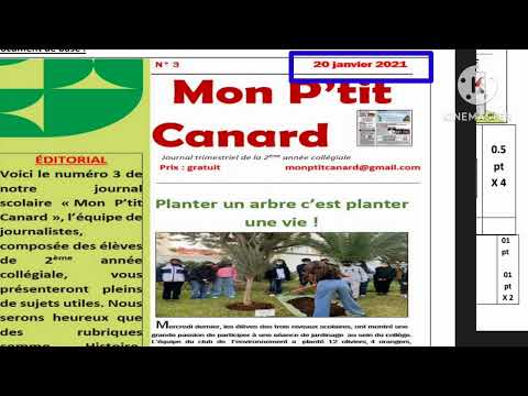2ème année collège évaluation N1 compréhension et langue الفرض الأول الدورة الأولى
