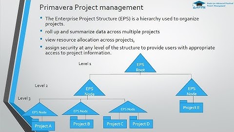 Primavera P6 Webinar
