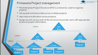 Primavera P6 Webinar