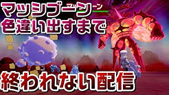 パピヨン Ch Youtube パピヨン Ch Youtube