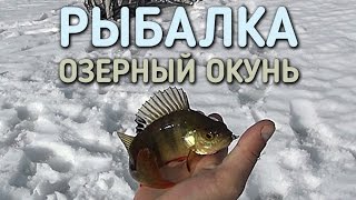 РЫБАЛКА / ВЕСНА 2017 / ОЗЕРНЫЙ ОКУНЬ / БРАТЬЯ ПРИХОДЬКО РЫБАЛКА / ВЕСНА 2017 / ОЗЕРНЫЙ ОКУНЬ / БРАТЬЯ ПРИХОДЬКО
