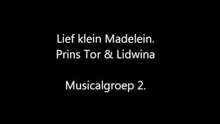 Video thumbnail of "Audio Lief klein Madelein"