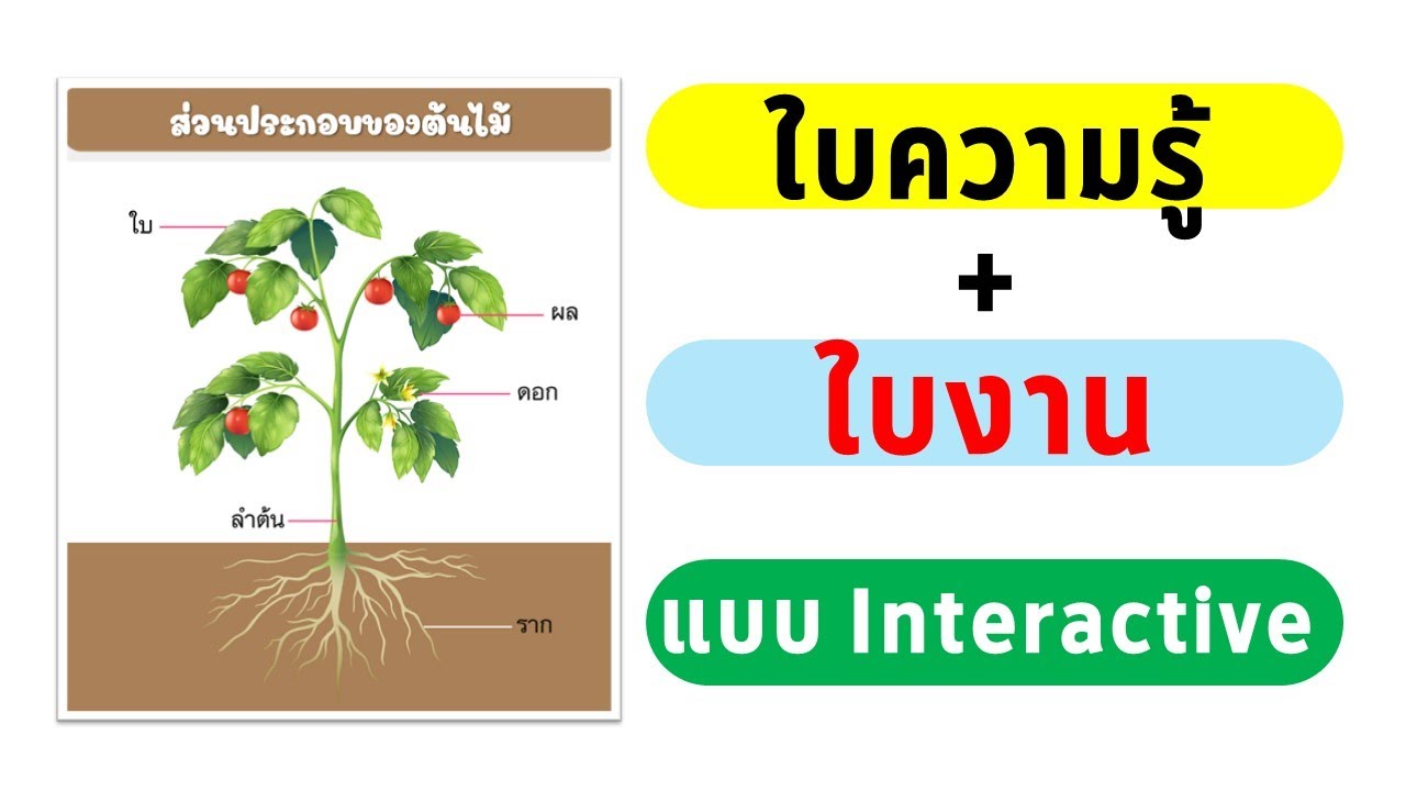 การสร้างสื่อการเรียนรู้ยุค Next Normal ให้เป็นสื่อแบบ Interactive ทั้งใบความรู้และใบงาน
