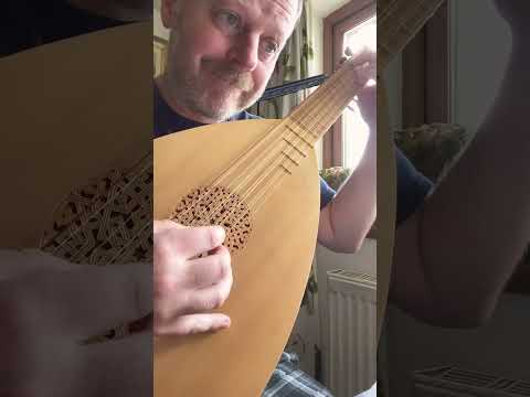 Medieval Lute #music