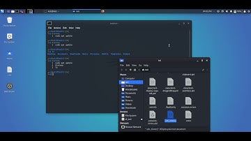 How to delete terminal history in Kali linux