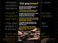 Did Scorpions Have Gills?