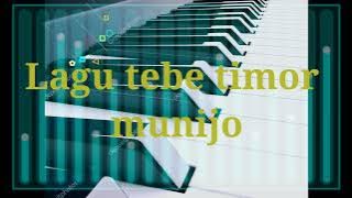 Lagu tebe munijo cover by Andy mone