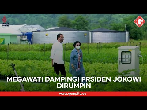 Momen Presiden Jokowi Bersama Megawati saat Tinjau Rumpin Kabupaten Bogor