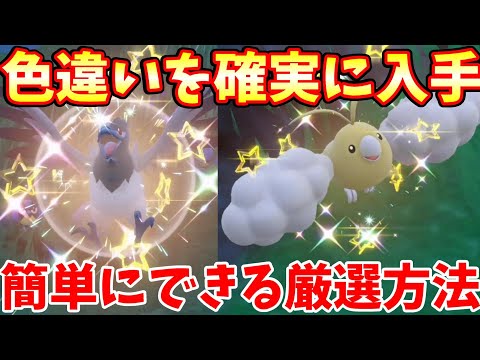 ポケモンsv チルットの種族値 わざ 特性など基本情報まとめ スカーレット バイオレット 攻略大百科