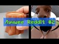 Видео, которые я нашёл на Reddit #2 (Лучшие приколы 2020/Ноябрь)