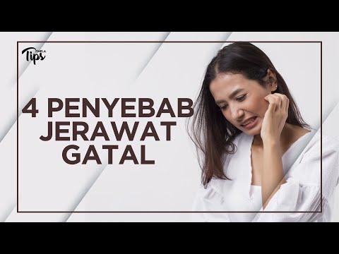 Video: Menguruskan Jerawat Gatal: Gejala, Punca, Dan Rawatan