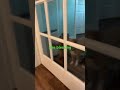 #fyp #funny