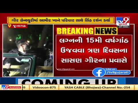 Gujarat: Bollywood actor Amir Khan along with his family enjoyed lion sighting at Sasan Gir |TV9News