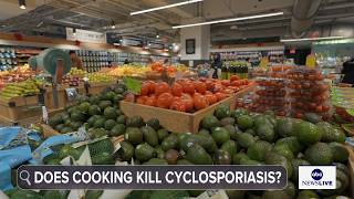 What you need to know about cyclosporiasis: How it spreads, how it's treated
