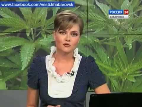 Возрождения Коноплеводства