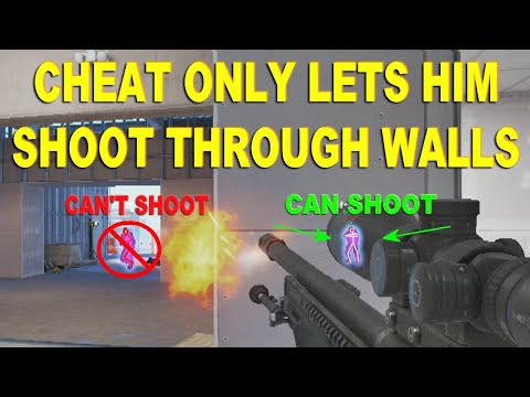 This Cheat Only Lets You Kill People Through Walls!