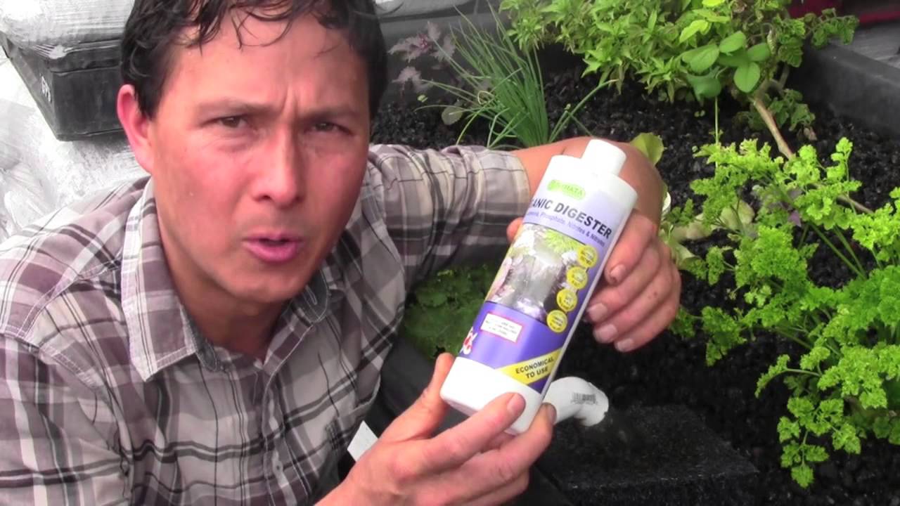 what is aquaponics how