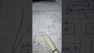 المناعة1 مستر أحمد محمود محمود حسن عمر