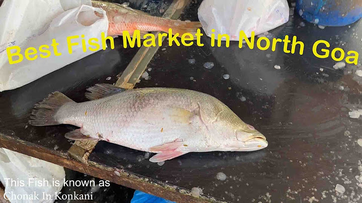 Fresh fish market in tyler tx