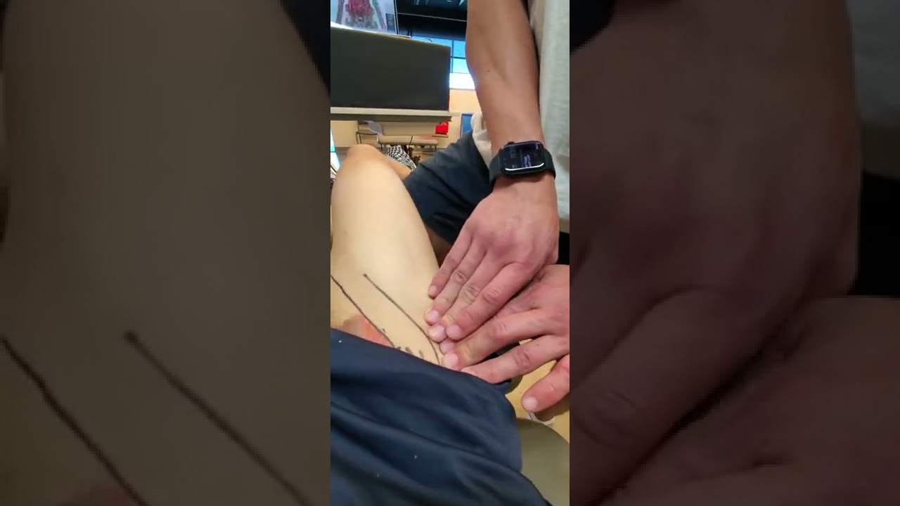 Knee - Assessment - Functional Palpation Quadriceps Vastus Intermedius