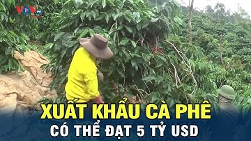 Xuất khẩu cà phê có thể đạt 5 tỷ USD