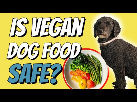 Is Vegan Dog Food Safe?