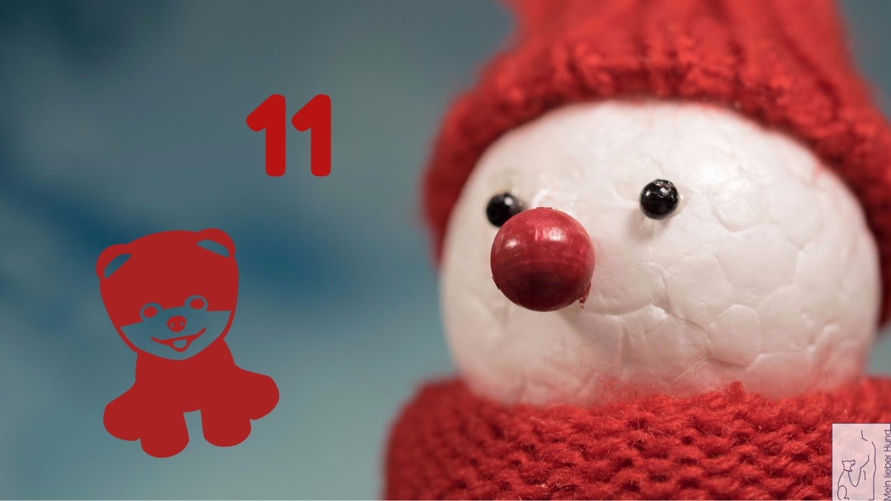 Adventskalender Hund 11 Magisches Schuesseldreieck YouTube
