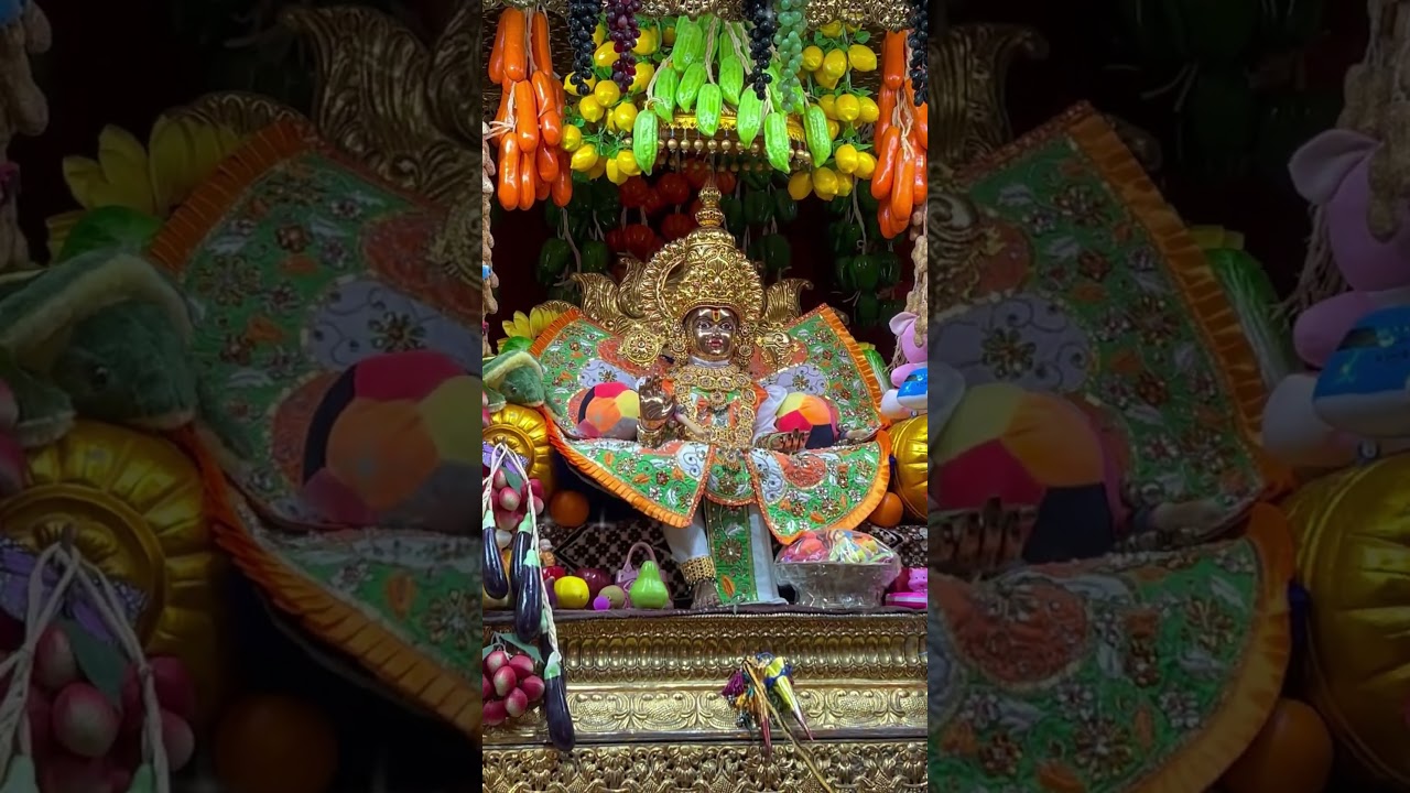 #radhakrishna #viral #viralvideo #love #shortsviral #vlog #mrvaishnavtour