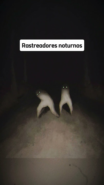 As lendas Urbanas mais assustadoras 😳 #curiosidades #scary #horrorshorts #medo #legend #lendas