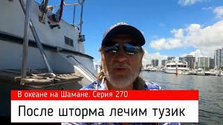 После шторма лечим тузик. В океане на Шамане. Серия 270