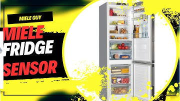 Miele Fridge Freezer Temperature Sensor Replacement