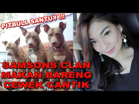 Jinsiy qalpoqli sifatli bispla Transseksuallar yigitni qattiq sikishadi