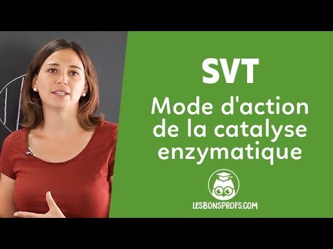 Vidéo: Quel est le substrat dans le laboratoire de catalyse enzymatique ?