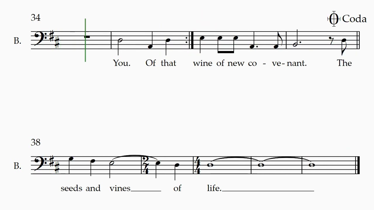 The Seed (D Maj) Bass