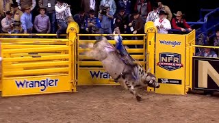 Stetson Wright | 2022 NFR Round 9