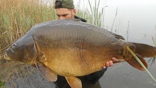 Pêche à la carpe 2015 - Session BigFish gravière ( film )