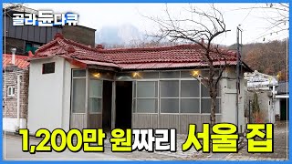 경차보다 저렴한 가격에 서울 집 마련하기┃다 쓰러져가는 폐가 2주 만에 깔끔한 새집으로 재탄생하는 과정┃가성비 넘치는 완벽한 폐가 리모델링 현장┃극한직업┃#골라듄다큐