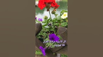 أكتب شيء تؤجر عليه  القارئ عبدالرحمن مسعد