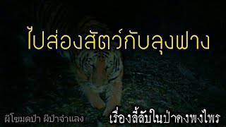 เรื่องลี้ลับในป่า ไปส่องสัตว์กับลุงฟาง