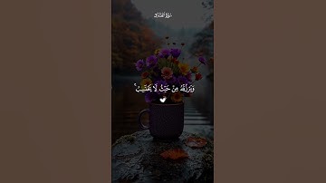 ومن يتقى الله يجعل له مخرجا 🤍 القارئ ماهر المعيقلي سورة الطلاق 🤍🤍