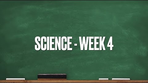 CC Cycle 1 Week 4 Science