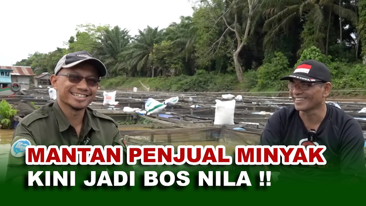 BUDIDAYA IKAN NILA KERAMBA SUNGAI BATANGHARI -Zulkifli-Mahkamah Aquaculture Podcast#08