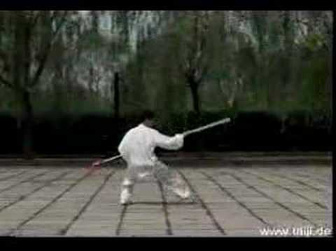 Tai Ji - Yang 16 form spear