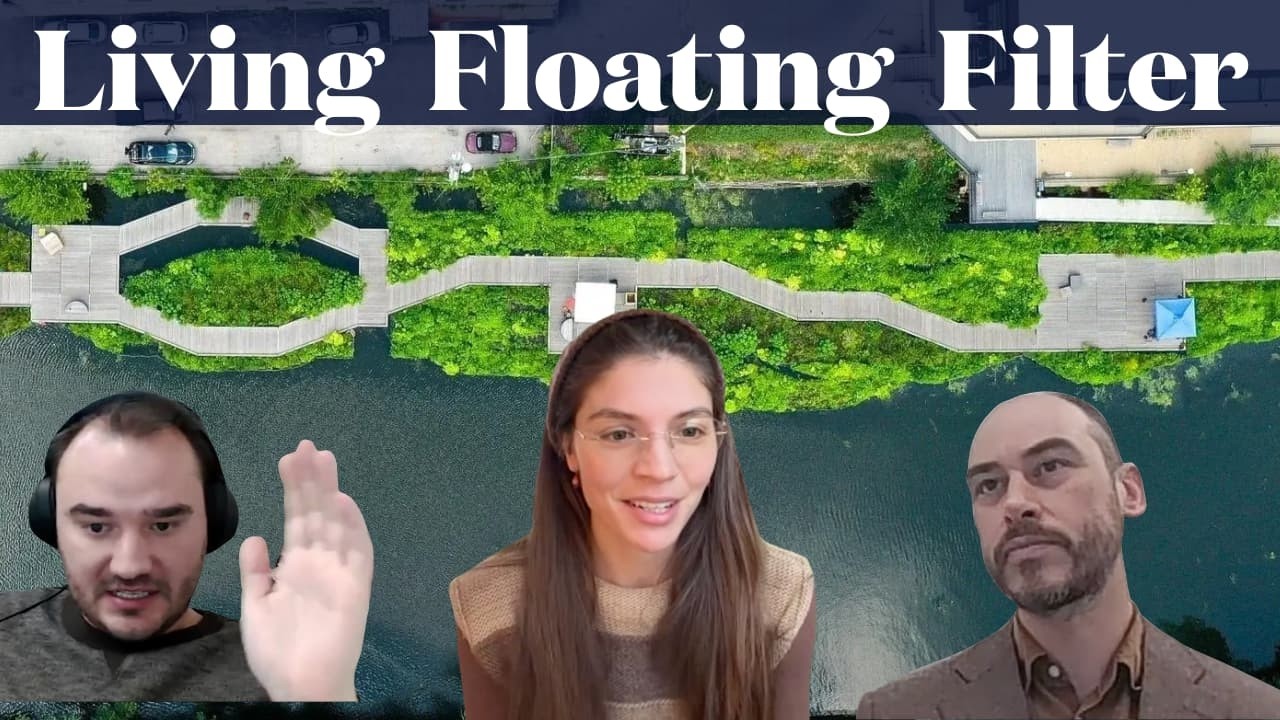 Plants vs Pollution, How Floating Wetlands are Cleaning City Rivers