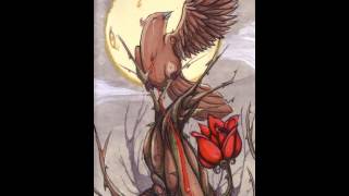 Oscar Wilde - Slavuj i ruža (Audiobook: The Nightingale And The Rose-Croatian)
