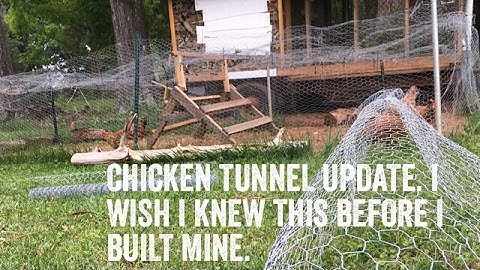 Chicken tunnel update