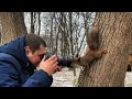 Белки кушают орешки 🐿 и позируют для фотографа