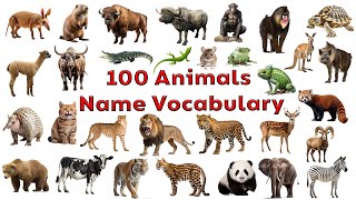 Animal Names Vocabulary / All Animals Name In English / Animals Vocabulary / Kids Educational Topic