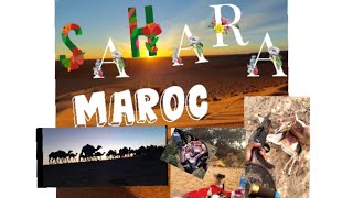 الصحراء المغربية. جمالية الطبيعة?? Sahara marocaine. Desert morocco?